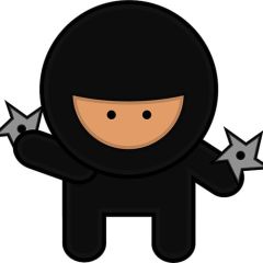 ninja-priemka